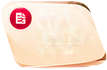 方案定制